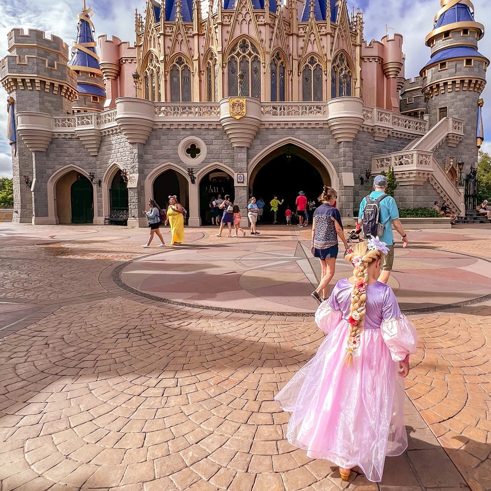 Little Adventurers Rapunzel Dress Costume